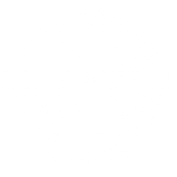 ISLANDER