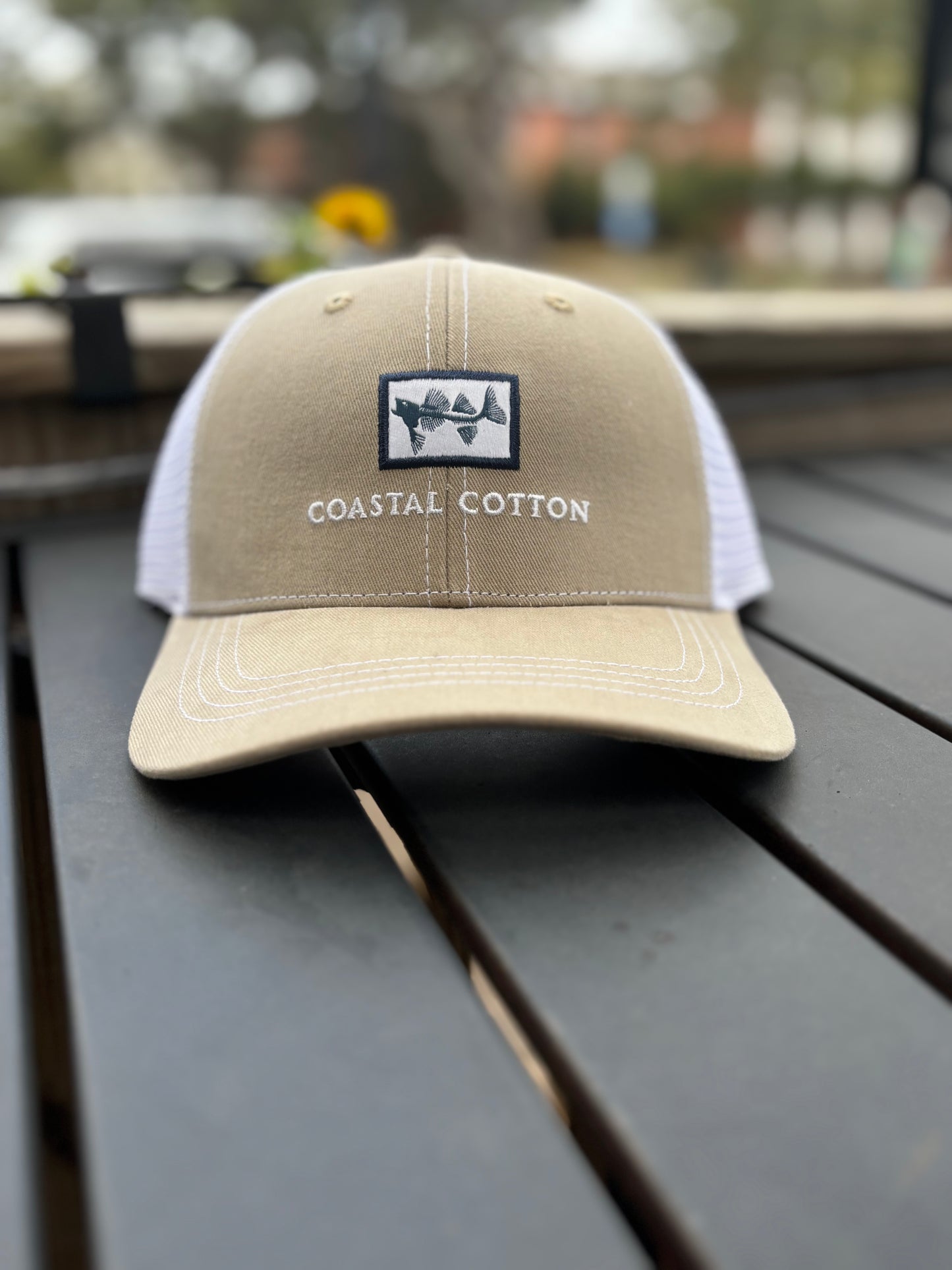 Coastal Cotton Cap